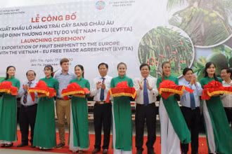 Lễ công bố xuất khẩu lô hàng trái cây đầu tiên sang thị trường EU.