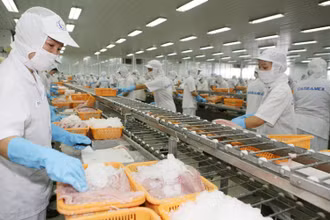 Thủy sản là một trong những mặt hàng đang tận dụng hiệu quả EVFTA.