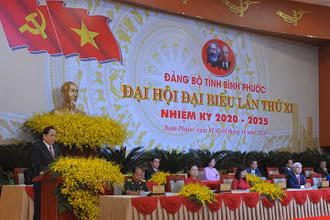 Đồng chí Trần Thanh Mẫn phát biểu tại Đại hội.