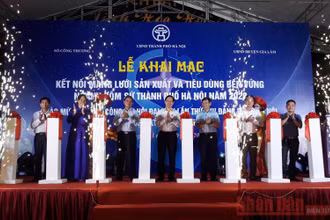 Cắt băng khai mạc chương trình.