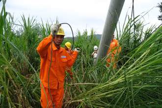 Công nhân xí nghiệp dịch vụ Điện lực Phú Yên đang thi công dựng lại cột điện bị ngã đổ tại xã An Mỹ, huyện Tuy An, Phú Yên (Ảnh: Trình Kế)