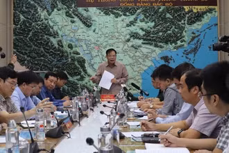 Bộ trưởng Nông nghiệp và Phát triển nông thôn, Phó trưởng ban thường trực Ban Chỉ đạo Trung ương về Phòng chống thiên tai Nguyễn Xuân Cường phát biểu tại cuộc họp.