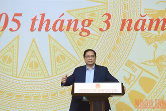 (Ảnh: TRẦN HẢI)