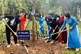 Các đại biểu tham gia trồng cây tại Khu di tích Chủ tịch Hồ Chí Minh.