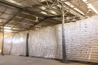 Gạo dự trữ quốc gia. (Ảnh: GDSR)