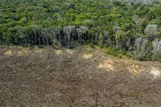 Một khu vực rừng bị tàn phá gần Sinop, bang Mato Grosso, Brazil. (Ảnh: Getty Images)