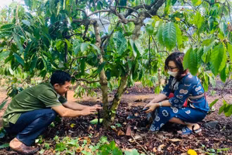 Ông Trương Hoàng Trung, xã Quảng Hiệp, huyện Cư M’gar, Đắk Lắk giới thiệu mô hình tưới tiết kiệm nước cho cây cà-phê. (Ảnh: Công Lý)