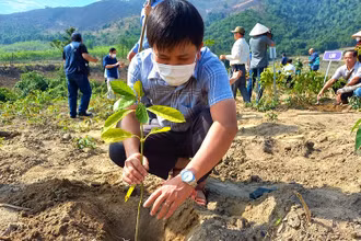 Đại biểu tham gia trồng rừng đầu nguồn sông Gianh (Quảng Bình) bằng cây bản địa.