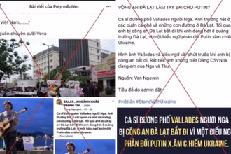 Các trang mạng xã hội đưa thông tin không đúng liên quan đến ông Alexander. (Nguồn: Báo Lâm Đồng/TTXVN)