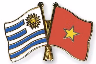 Điện mừng