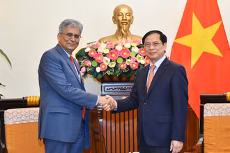 Bộ trưởng Ngoại giao Bùi Thanh Sơn tiếp Thứ trưởng Ngoại giao Ấn Độ Saurabh Kumar nhân dịp sang thăm Việt Nam. (Ảnh: Báo Thế giới Việt Nam)
