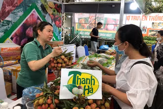 Người tiêu dùng Thủ đô tìm mua các loại trái cây, nông sản đặc sản của các tỉnh, thành phố tại Tuần hàng.
