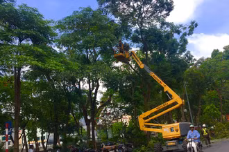 Công ty Công viên Cây xanh Hà Nội cắt tỉa cây xanh đề phòng gãy đổ.