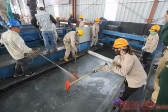 Dự kiến hoàn thành sửa cầu Thăng Long vào 31-12