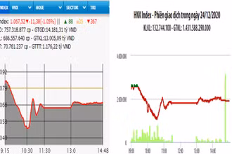 Diễn biến VN-Index và HNX-Index, phiên giao dịch ngày 24-12. 