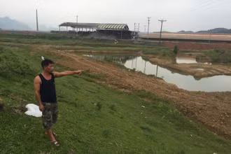 Lòng suối Cái, suối Gạo trước đó bị Công ty Công ty Cổ phần Xây dựng Toàn Phát khai thác “tận diệt”. Ảnh Trần Hảo