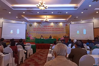 Quang cảnh hội nghị công bố kết quả nghiên cứu chuyên sâu tổng điều tra dân số và nhà ở năm 2019.