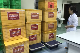 2.000 đơn vị máu được khoa Lưu trữ và phân phối máu, Viện Huyết học – Truyền máu Trung ương chuẩn bị, vận chuyển ra xe tới sân bay Nội Bài. (Ảnh: Viện Huyết học – Truyền máu Trung ương)