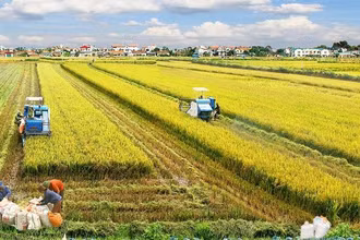 Bộ Nông nghiệp và Phát triển nông thôn, Hội nông dân Việt Nam và doanh nghiệp được coi như ba đỉnh của tam giác để phát triển ngành nông nghiệp (ảnh minh họa)