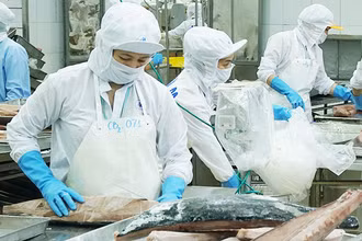 Cải cách thủ tục hành chính tạo điều kiện thuận lợi cho các doanh nghiệp thủy sản xuất khẩu hàng hóa. Ảnh: HẢI NAM