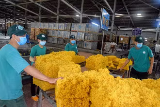 Tiếp nối truyền thống “Phú Riềng đỏ”