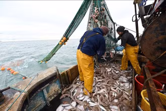 Ngư dân đánh cá ngoài khơi bờ biển phía Đông Nam nước Anh ngày 12/10/2020. Ảnh tư liệu: AFP/TTXVN