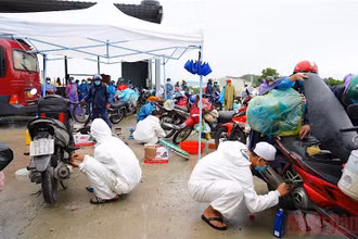 Đội SOS sinh viên đặc biệt tại Đà Nẵng đang cứu hộ xe máy cho người dân qua TP Đà Nẵng.