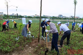 Khởi động chương trình “Toyota chung tay xanh hóa học đường”.