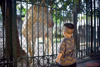 Khám phá thiên nhiên tại công viên Thủ Lệ sau giãn cách
