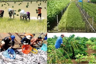 Nông nghiệp là một trong những ngành bị ảnh hưởng nghiêm trọng bởi đại dịch Covid-19.