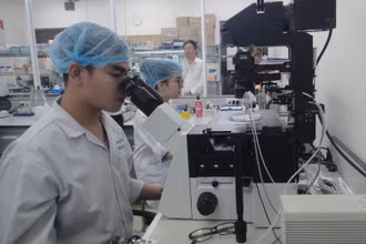 Sinh viên nghiên cứu khoa học tại Trường đại học Quốc Tế thuộc Đại học Quốc gia TP Hồ Chí Minh.