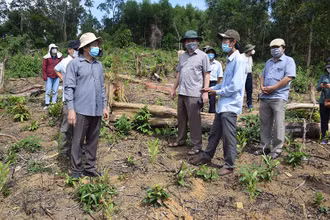Đoàn công tác do ông Trần Hữu Thế, Chủ tịch UBND tỉnh Phú Yên kiểm tra hiện trường vụ phá rừng phòng hộ lấy đất sản xuất tại xã Sơn Hội, huyện Sơn Hòa đã được Báo Nhân Dân phản ảnh ngày 31/8.