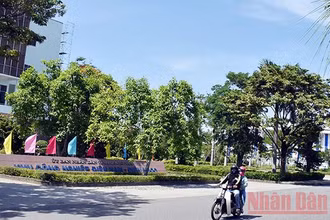 Ổ dịch tại Khu công nghiệp Điện Nam - Điện Ngọc đã được khống chế.
