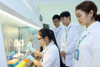Giờ thực hành của sinh viên Học viện Nông nghiệp Việt Nam. Ảnh: DUY LINH