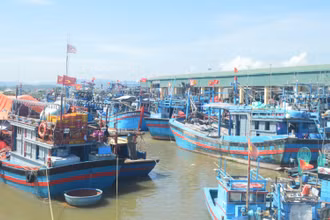 Từ ngày 15/9, các cảng cá, bến cá ở Quảng Ngãi tạm dừng hoạt động để phòng, chống dịch.
