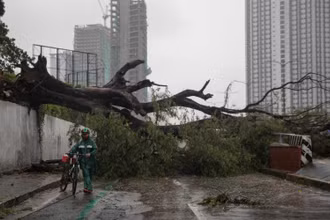 Cây đổ nằm ngổn ngang trên đường phố tại TP Quezon, vùng thủ đô Manila. (Ảnh: Reuters)