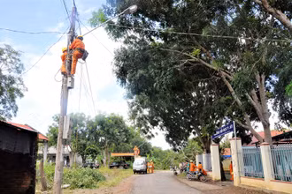 Công trình “Thắp sáng vùng biên” giúp đồng bào dân tộc thiểu số buôn Đrang Phốk có điều kiện sinh hoạt tốt hơn.