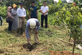 Khởi công khai quật tại di chỉ khảo cổ Vườn Chuối đợt 1-2020.