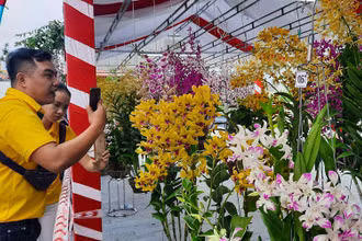 Đông đảo người dân địa phương và khách du lịch đến thưởng thức vẻ đẹp của những giò hoa từ khắp mọi miền Tổ quốc.   