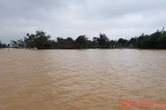 Ảnh hưởng của bão Linfa (bão số 6) đã gây nên lũ lụt nghiêm trọng ở Quảng Bình vào giữa tháng 10 vừa qua. Ảnh : HƯƠNG GIANG.