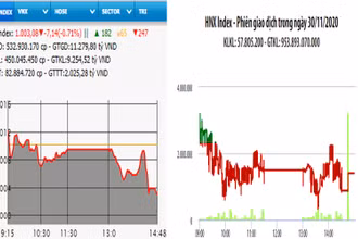 Diễn biến VN-Index và HNX-Index, phiên giao dịch ngày 30-11. 