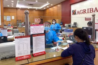 Giao dịch khách hàng tại chi nhánh Agribank.