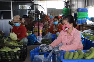 Hợp tác xã Mỹ Hạnh (Thủ Thừa, Long An) mỗi ngày mua và giao 20 tấn rau, củ, quả cho các đơn vị phân phối tại Long An, TP Hồ Chí Minh, Đồng Nai, Bình Dương và Tiền Giang.