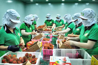 Hoa Kỳ sẽ không hạn chế thương mại đối với hàng hóa xuất khẩu của Việt Nam