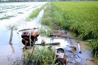 Việc bơm nước cứu lúa của nông dân xã Khánh Hưng (huyện Trần Văn Thời) gặp khó vì đâu đâu cũng ngập.