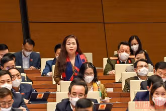 Đại biểu Vũ Thị Lưu Mai (Hà Nội) phát biểu thảo luận tại hội trường chiều 8/11. (Ảnh: LINH NGUYÊN)