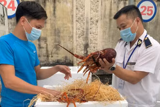 Thông tư 11 bắt đầu có hiệu lực từ ngày 6/11/2021 thay thế Thông tư số 15/2018/TT-BNNPTNT (ảnh minh họa)