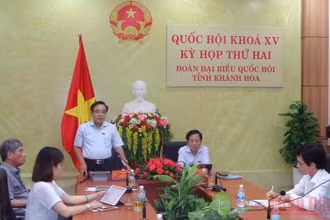 Đại biểu Lê Hữu Trí phát biểu tại phiên thảo luận ở tổ. (Ảnh: PHONG NGUYÊN)