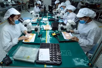 Sản xuất linh kiện điện tử tại công ty TNHH 4P (Văn Giang, Hưng Yên) có vốn đầu tư trong nước. Ảnh: TTXVN