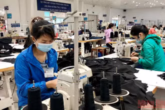 Sản xuất tại Công ty TNHH May mặc An Thắng, huyện Đông Anh, Hà Nội. (Ảnh: NGUYÊN TRANG)